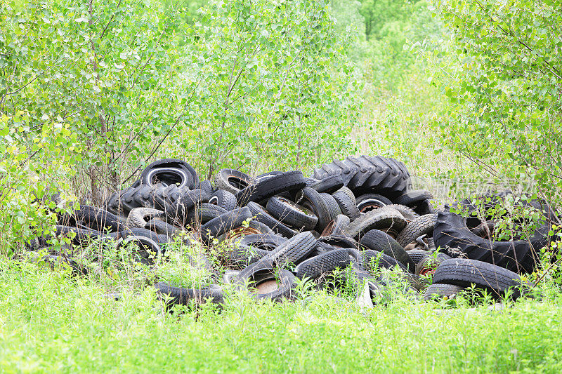 绿树环绕的废旧轮胎堆