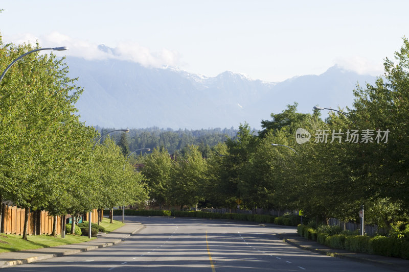 绿树成荫的住宅街道，背后是群山