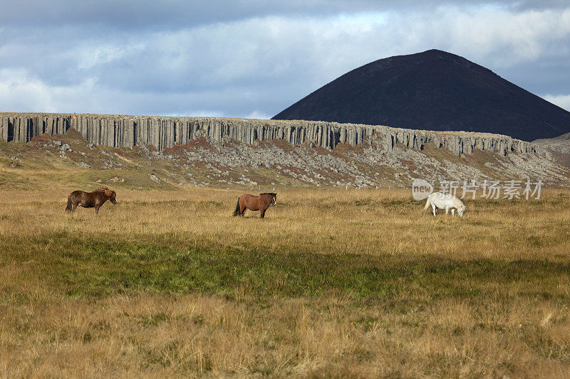 冰岛马玄武岩熔岩柱斯奈费尔斯半岛火山冰岛