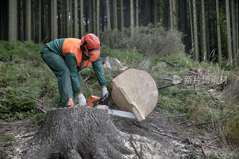 林业工人用链锯