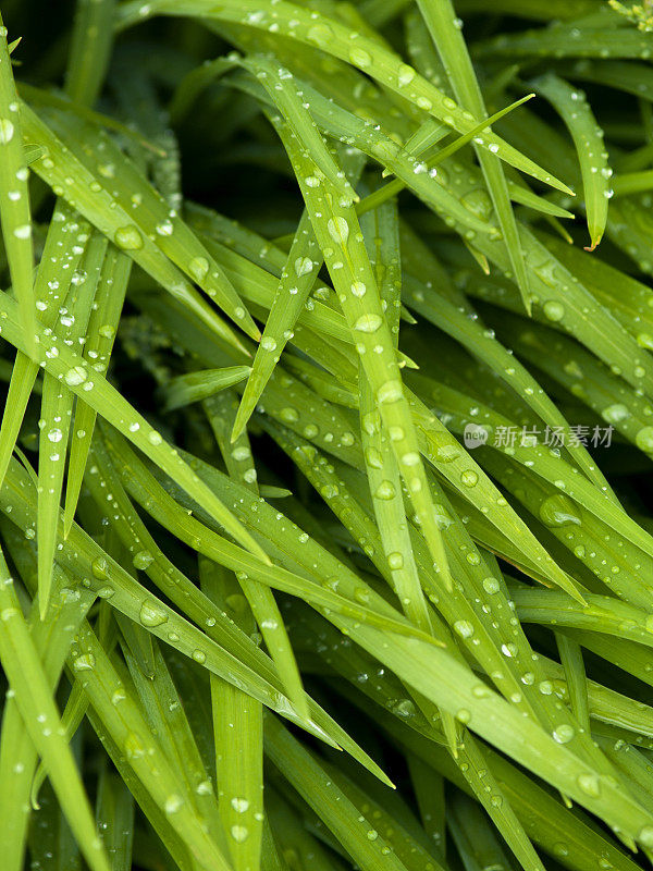 小雨打在工厂