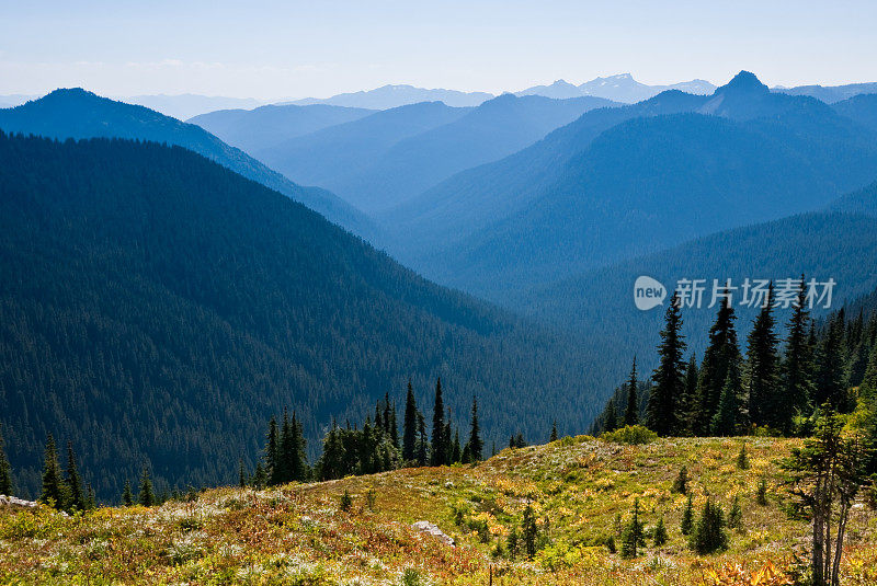 下午的雾山