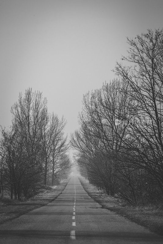 黑色和白色的道路