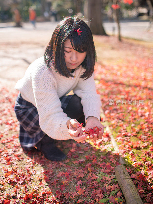 捡日本枫叶的年轻女子