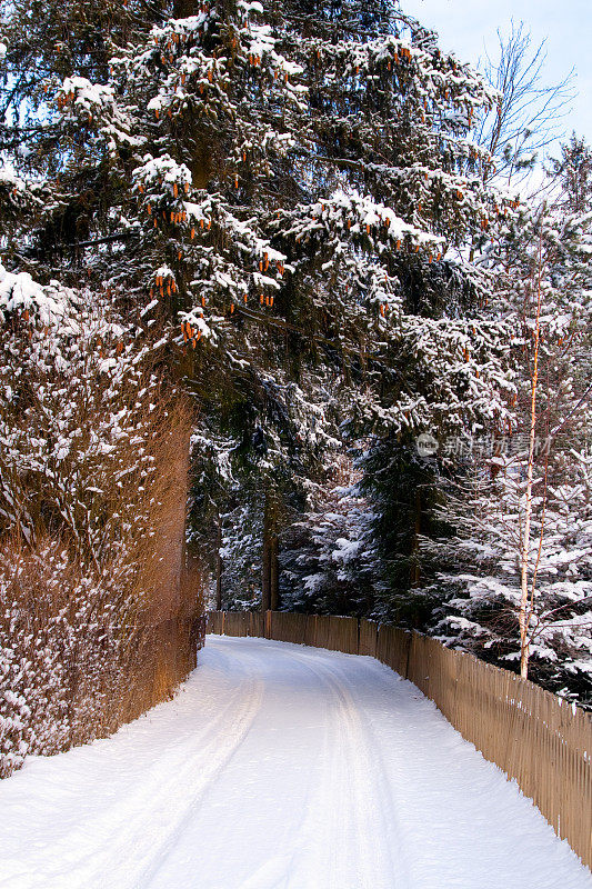 白雪皑皑的乡村道路