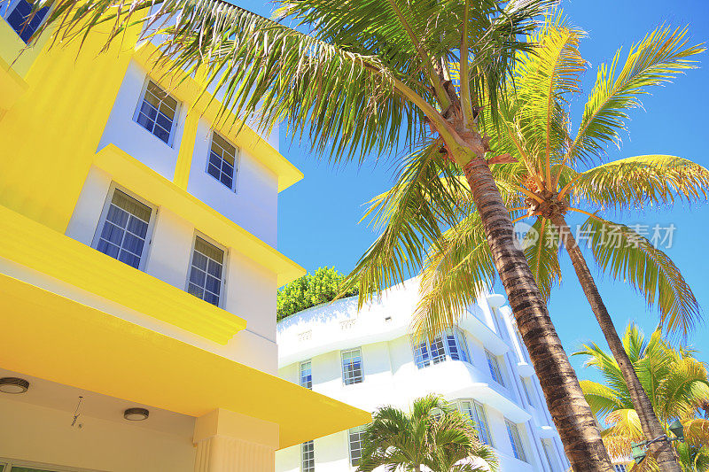 抬头看迈阿密海滩的建筑和棕榈树