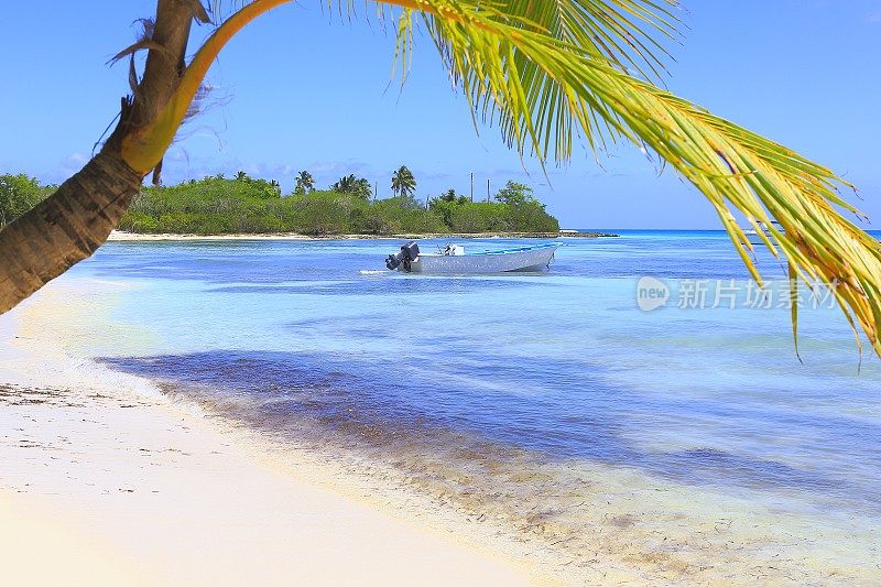 热带天堂:绿松石海滩，快艇，孤独的棕榈树