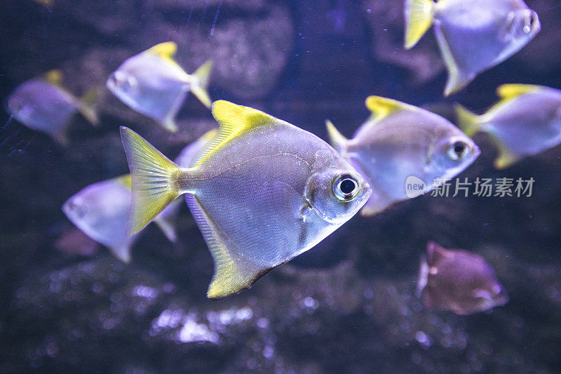 水族馆