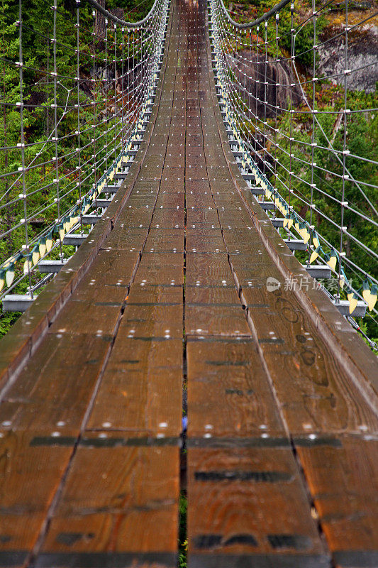 湿式桥