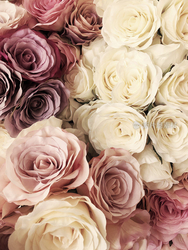 美丽的复古玫瑰背景。白色、粉色、紫色、紫罗兰色、奶油色花束。优雅风格的花卉。