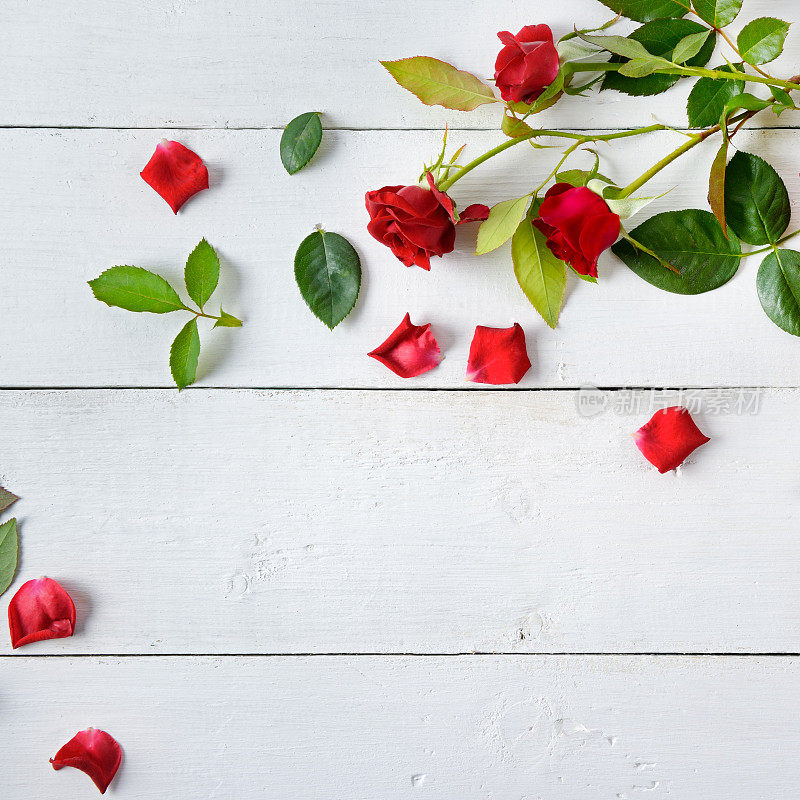 花组成。白色木质背景上的红玫瑰。平躺，俯视图。文本的空闲空间。