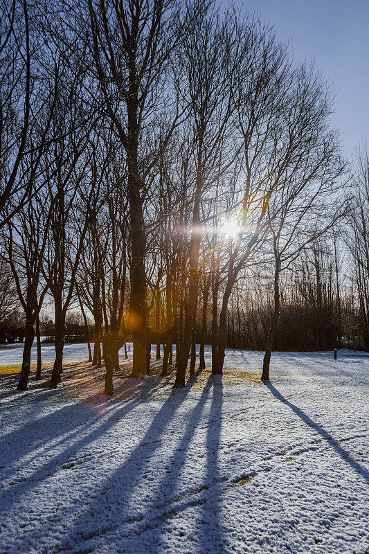 白雪覆盖的冬天，白皑皑的风景覆盖在阳光下