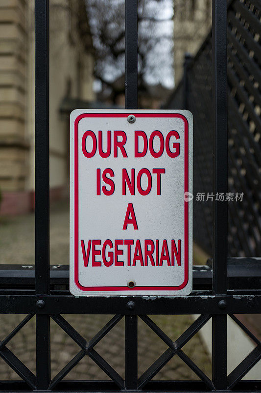 狗不是素食者