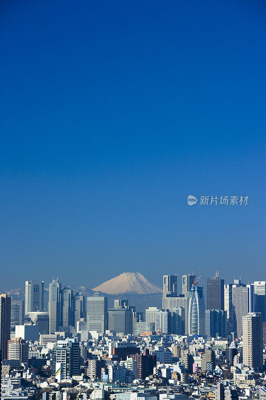 以富士山为背景的新宿建筑群，日本东京新宿。