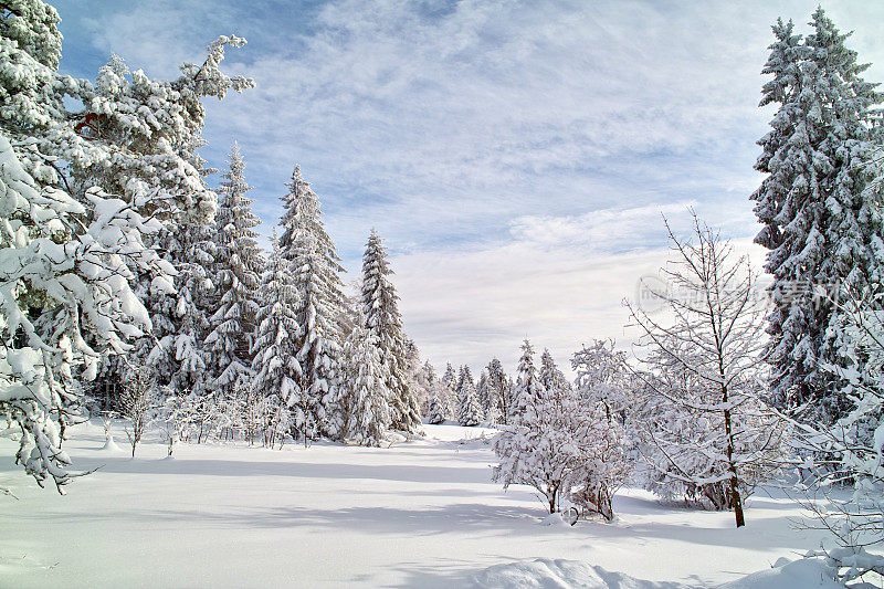 下雪的冬天的风景