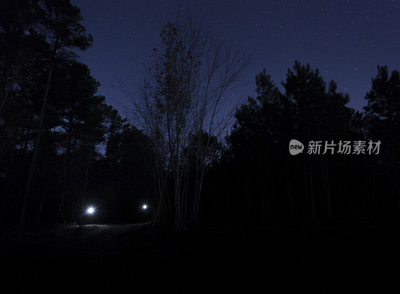 森林里一个晚上有两盏前灯