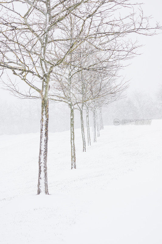 雪正在下降