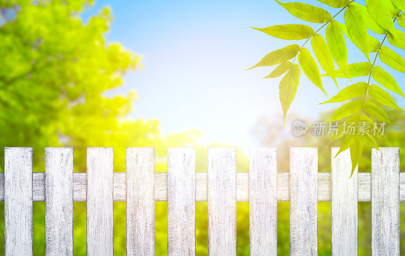木栅栏在破旧别致的风格和春天的树木与绿色的树叶对抗蓝天
