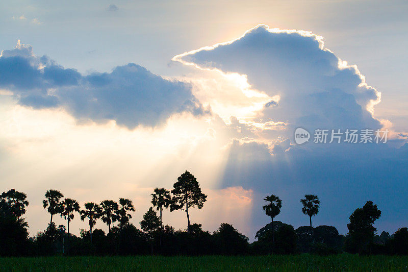 奇妙的日落天空，云的形成，看起来像一个巨大的哥斯拉喷火。孩子'u2019s幻想。棕榈树和热带树前景。Cloudscape。