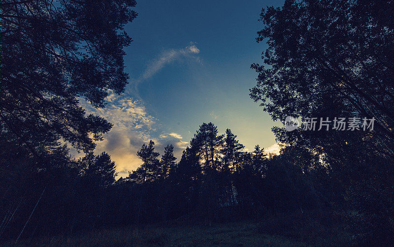 卡累利阿森林上空的日落