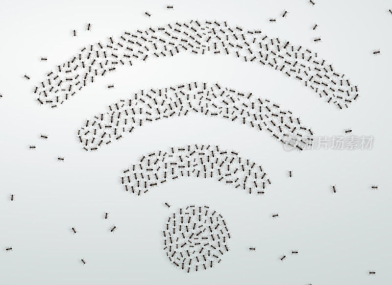 团队协作理念:蚂蚁群组成一个大WiFi符号