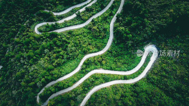 通过森林的道路俯视图