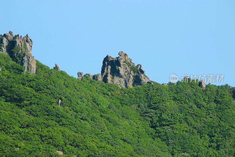 汉拿山，杜鹃花，春天