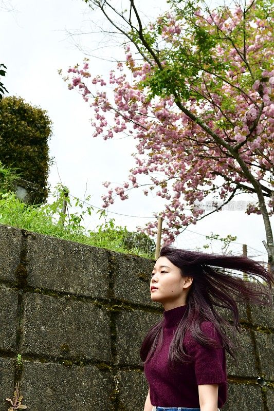 年轻的日本女人走在东京八王子的樱花下