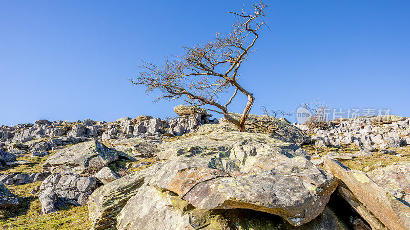 英国约克郡山谷的石灰岩风景