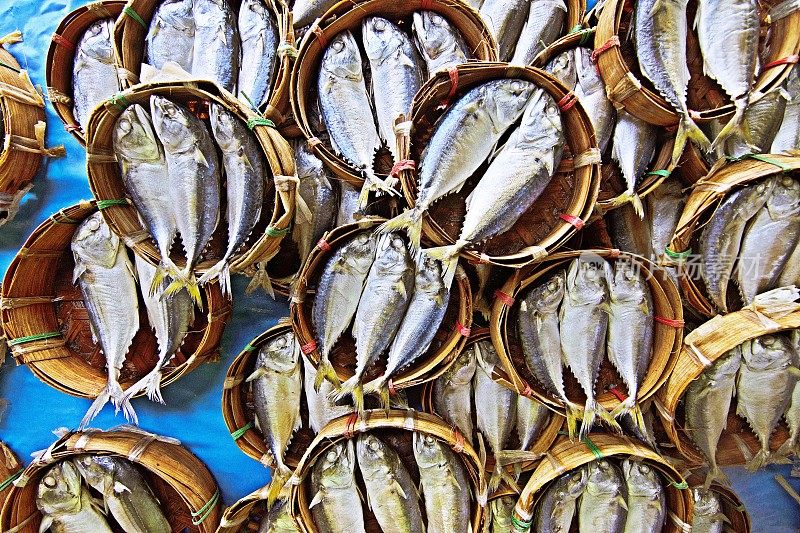 竹荚鱼(新鲜市场)