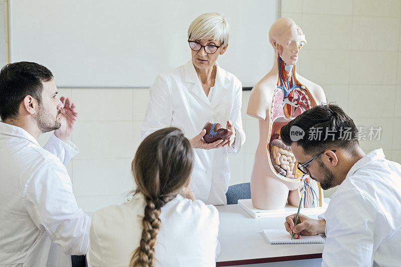 医学学生用博士教授抱着心脏检查解剖模型