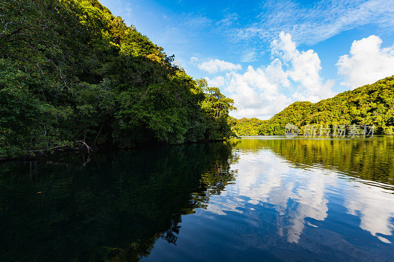 著名的水母湖，岩石群岛海洋湖，帕劳