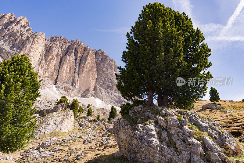 Dolomites的Langkofel地块的景观