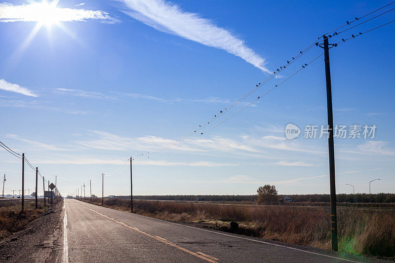 公路边的乡村公路上有电线，上面有鸟儿，蓝天和阳光