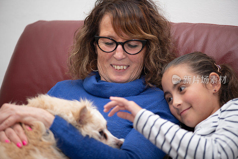 宠物的爱。甜蜜的时刻。奶奶和孙女抱着小狗坐在沙发上。安慰,友谊的概念