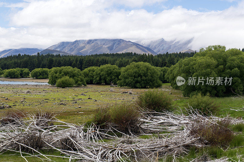 新西兰南岛特帕克湖的风景