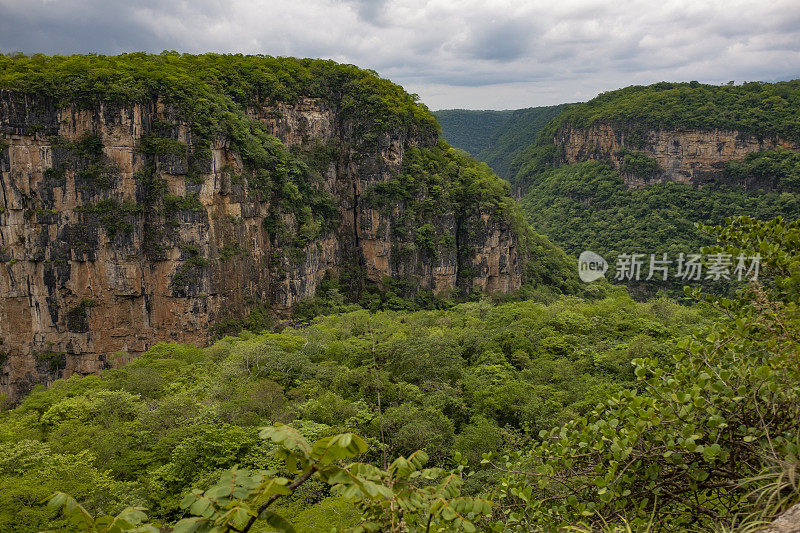 墨西哥恰帕斯地区的峡谷和丛林