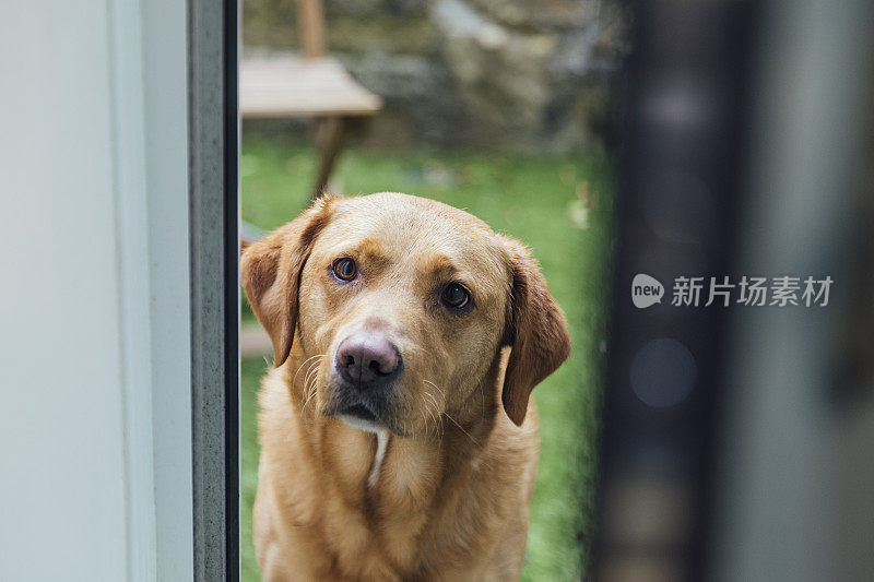 我能进来吗?