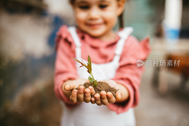 孩子们照料着幼苗。手扶小树