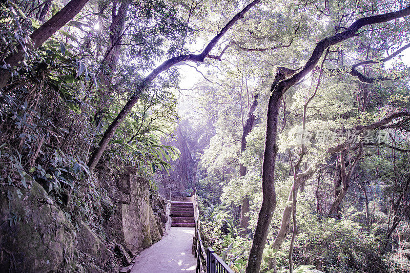 港岛及山顶