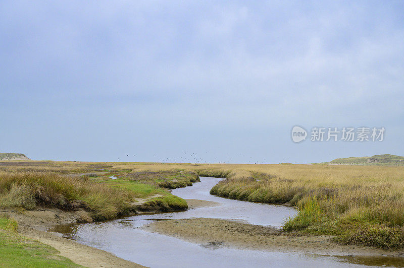 荷兰瓦登海地区特塞尔岛海滩上的斯劳特山谷