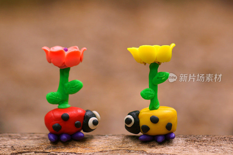 两个带花的玩具瓢虫。