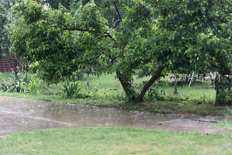 在院子里下雨