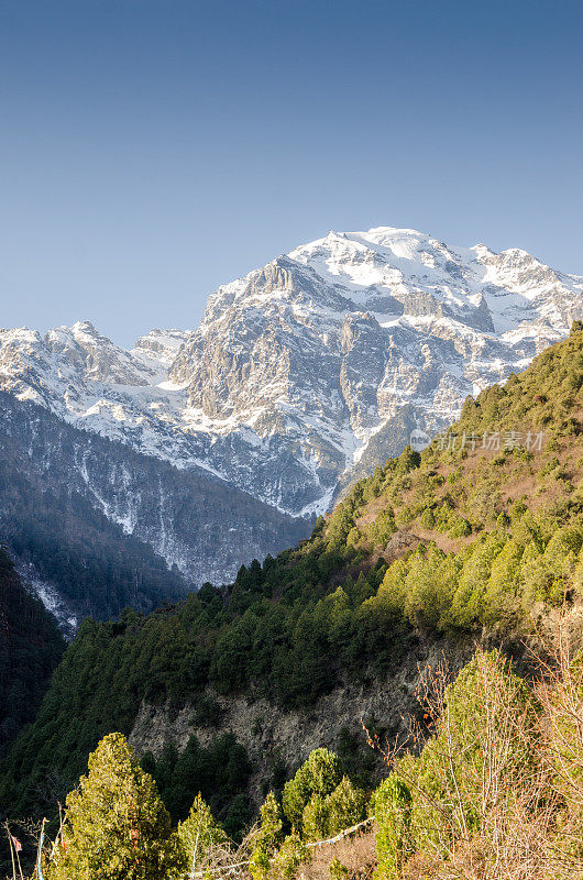 美丽雪山在中国云南