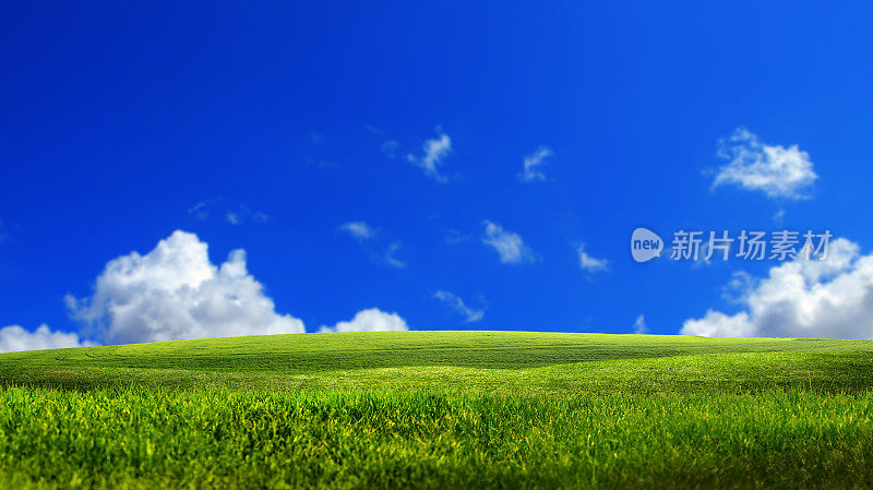 阳光明媚的蓝天上，空旷的绿草地散发着清新的气息