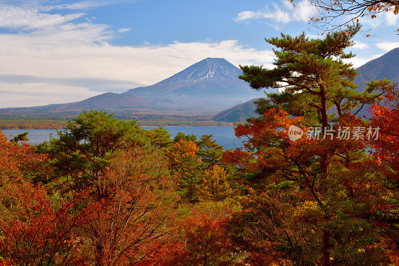 富士五湖秋叶色:元土湖