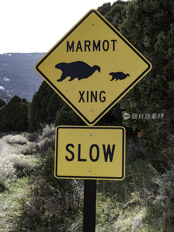 内华达大盆地国家公园道路上的土拨鼠十字路口标志。