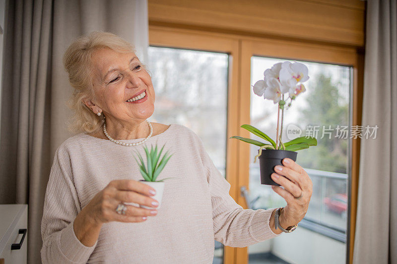 女人在家里享受她的植物