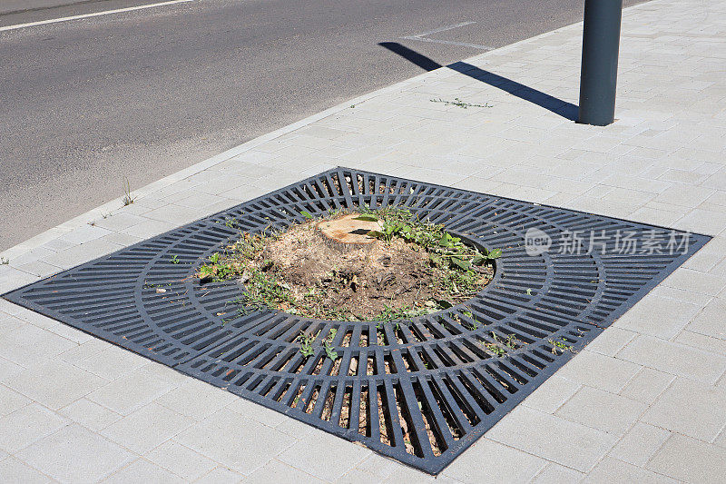 街上一棵砍下来的树的空地