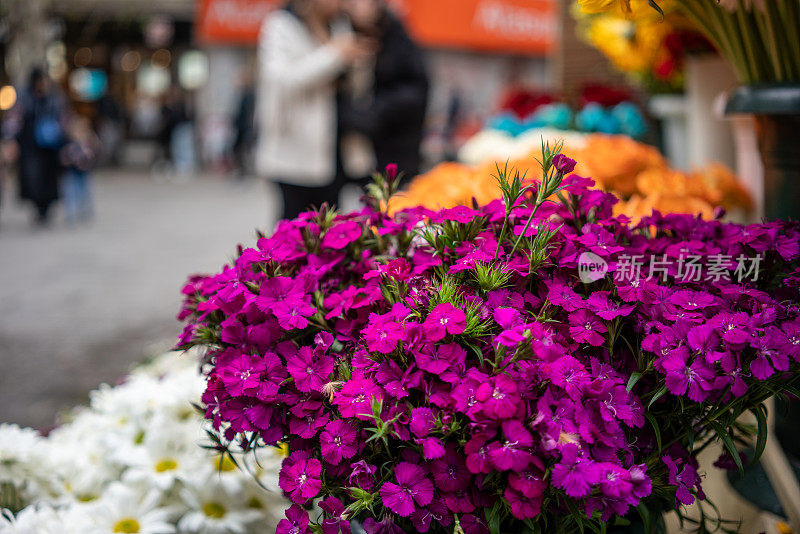 紫色的花朵是前景的焦点，人们在街道上行走，背景是横向的小买卖